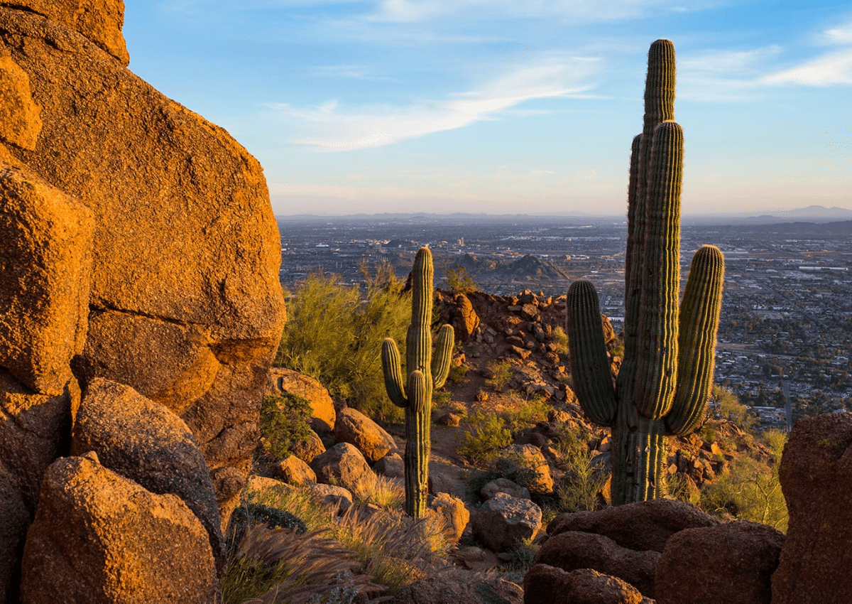 sell a travel agency in arizona
