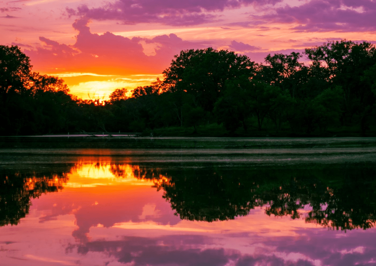 sell a travel agency in illinois