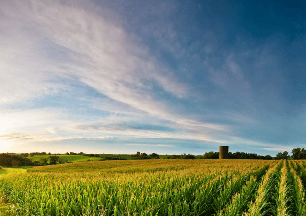 sell a travel agency in iowa