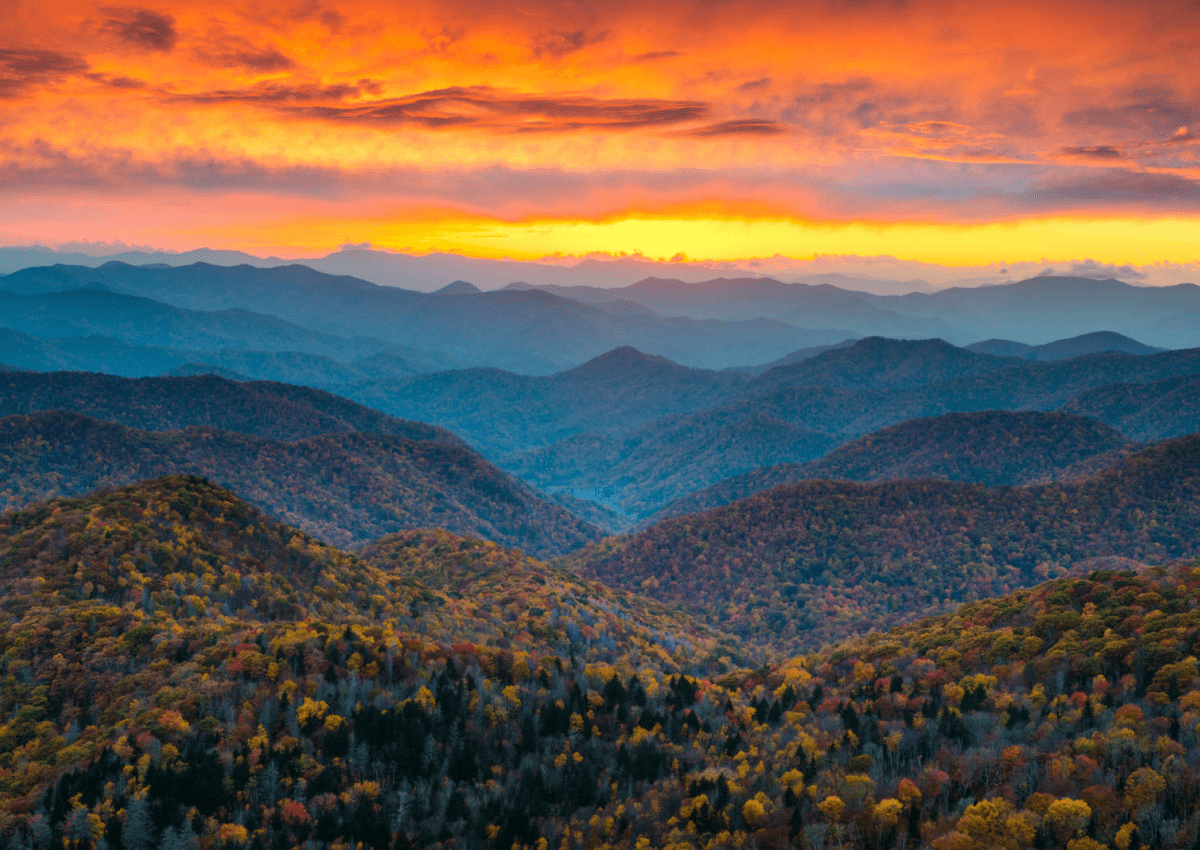 sell a travel agency in north carolina