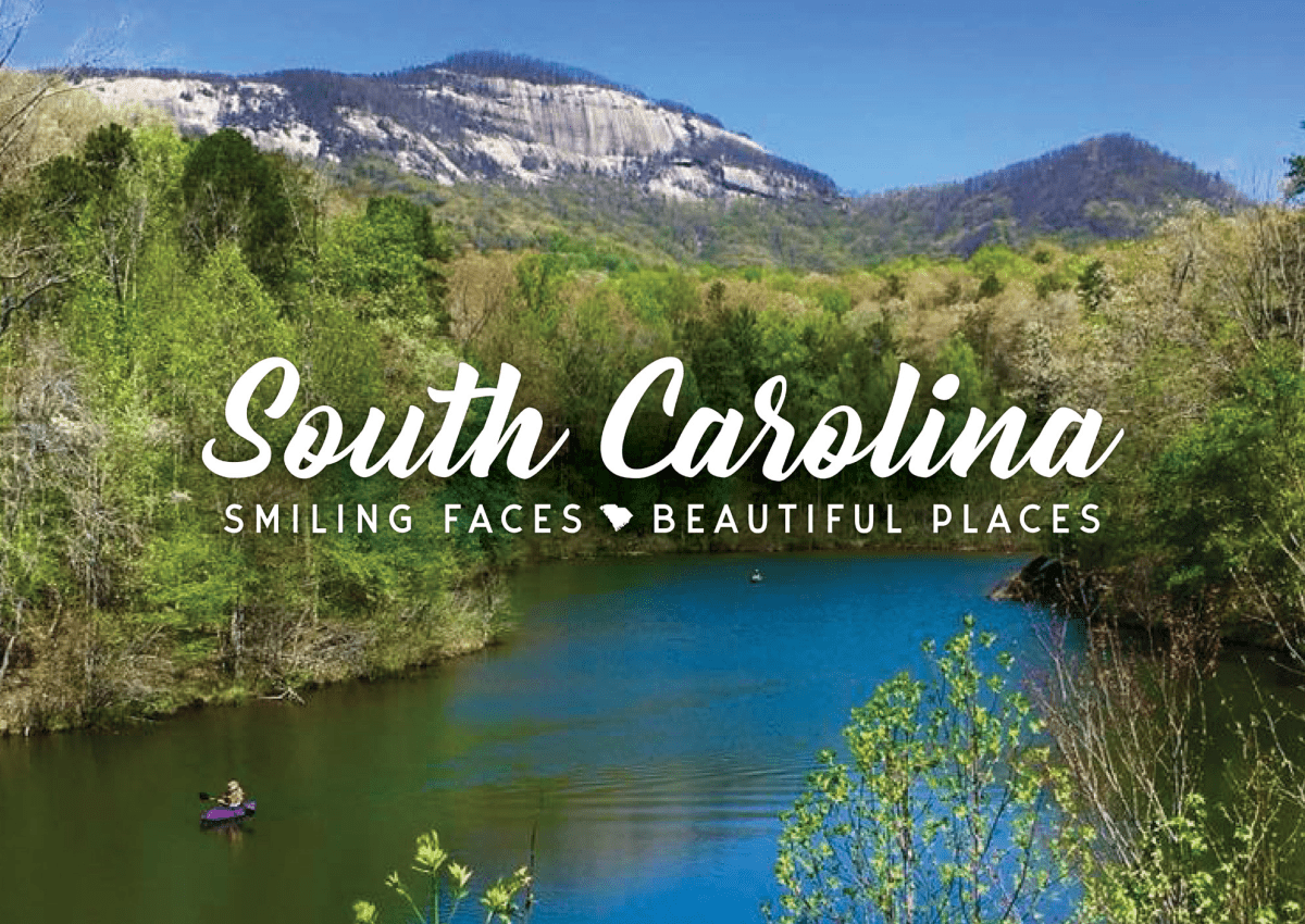 sell a travel agency in south carolina