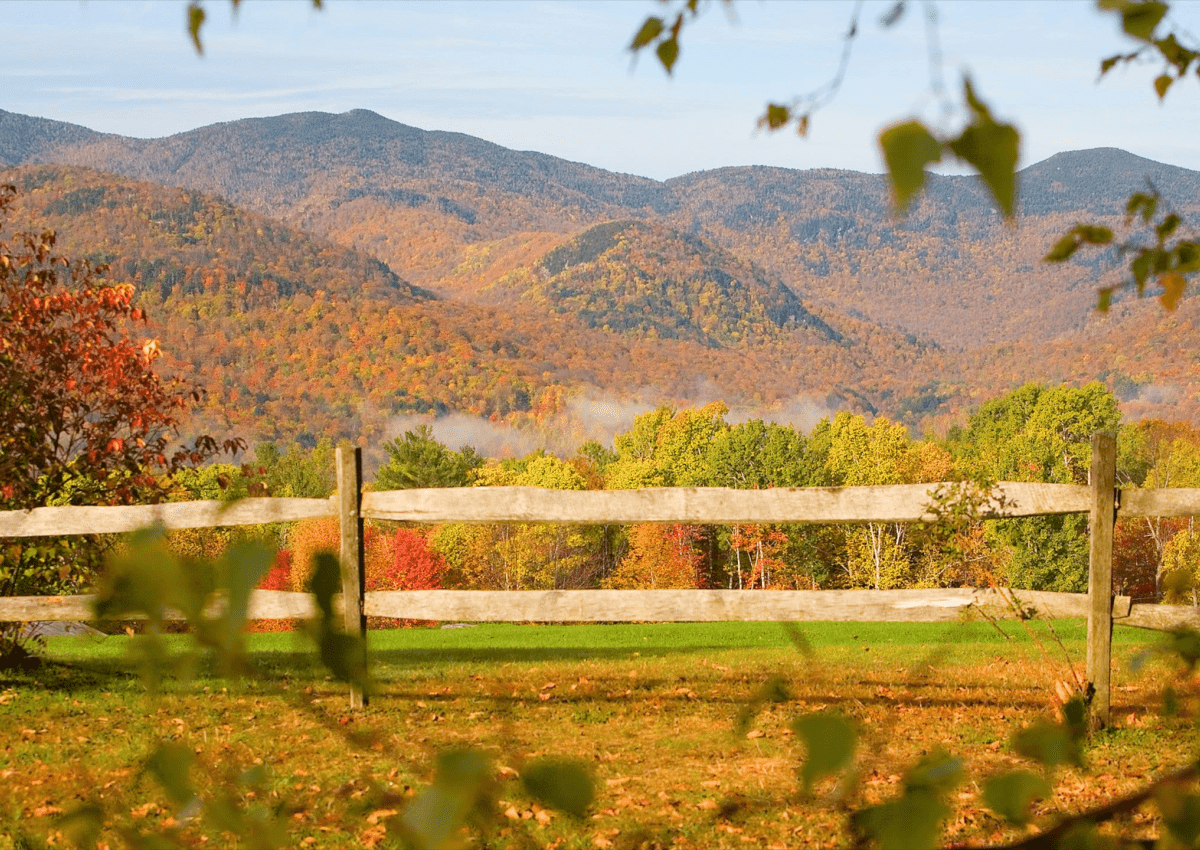 sell a travel agency in vermont