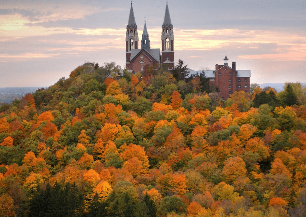 sell a travel agency in wisconsin