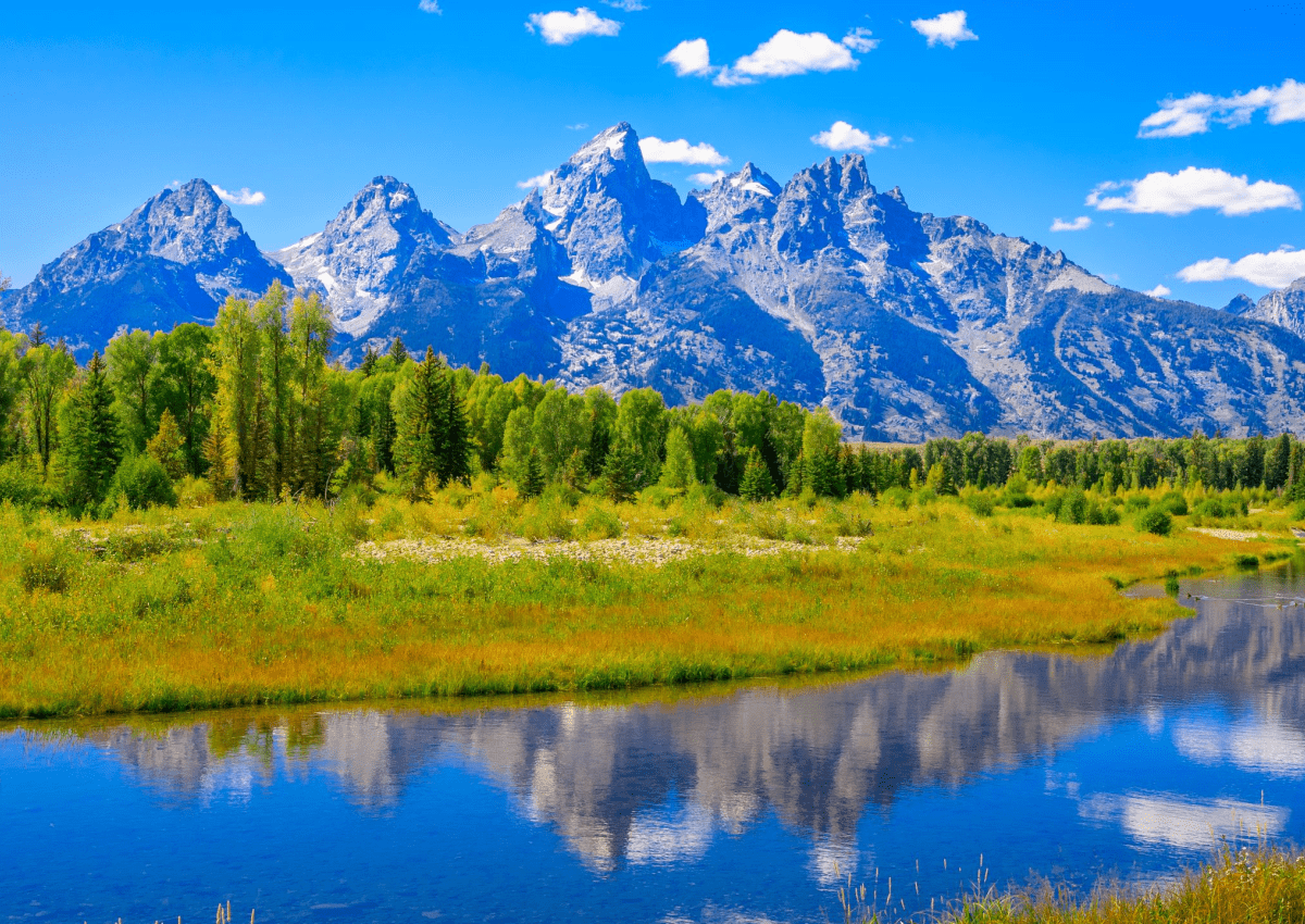 sell a travel agency in wyoming