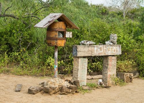 Just Back From…Galápagos, Part 2. A Postscript