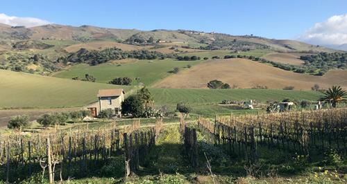 On the Culinary Trail: Experiencing an Idealized Sicily with S.A.L.T. Lab Radio