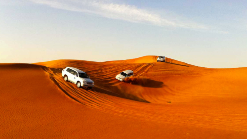 Private Liwa Oasis Full-Day Safari with Lunch by Gray Line