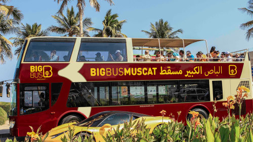 Hop-On Hop-Off Bus Tour by Big Bus