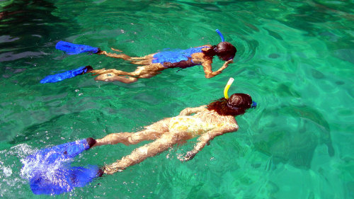 La Roqueta Island Snorkeling Tour