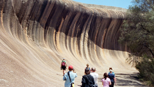 Wave Rock Day Tour by Gray Line