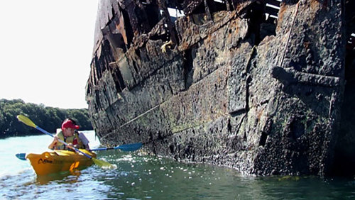 Kayak Tour of the Adelaide Dolphin Sanctuary by Adventure Kayaking SA