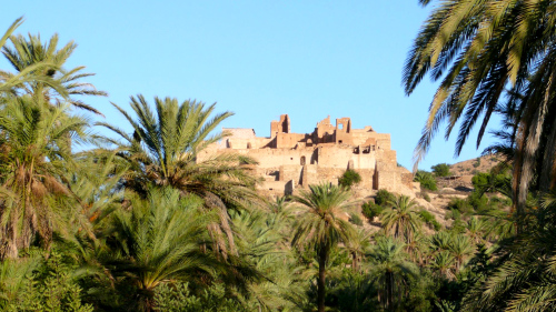 Taroudant Half-Day Tour with Brunch in Soussi Farm