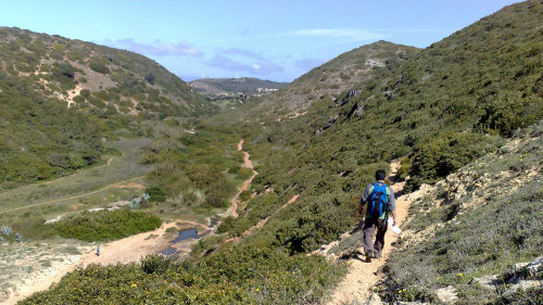 Small-Group Wonders of the Southwest Coast Hiking Tour with Picnic Lunch