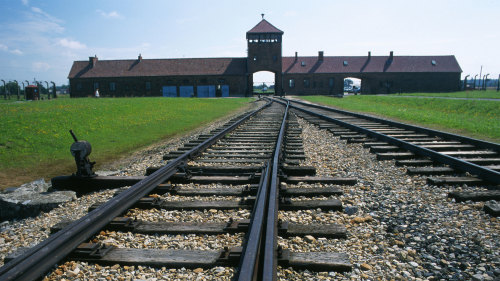 Small-Group Auschwitz-Birkenau Memorial & Museum Tour