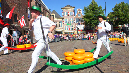 Alkmaar Cheese Market, Windmills & Dutch Countryside Tour