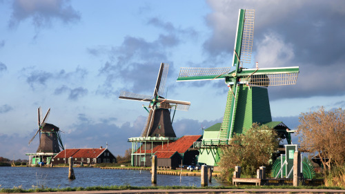 Amsterdam Sightseeing & Dutch Countryside Tour with Cheese Tasting