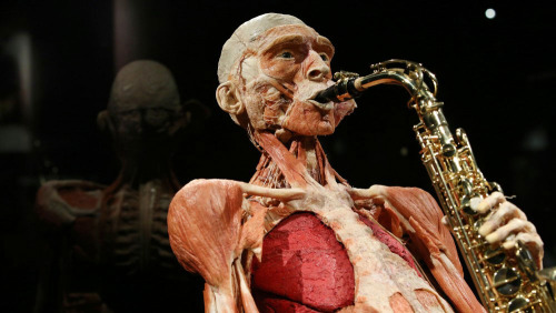 Skip-The-Line BODY WORLDS Amsterdam