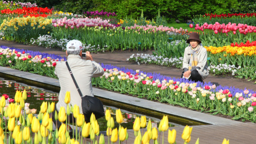 Skip-the-Line Guided Tour: Keukenhof Gardens & Tulip Farm