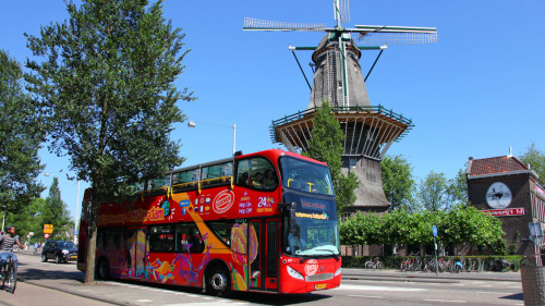 Hop-On Hop-Off Bus Tour by City Sightseeing