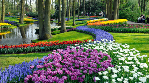 Skip-the-Line Private Keukenhof Gardens Tour