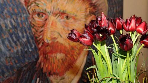 Keukenhof Gardens & Van Gogh Museum Admission with Cruise