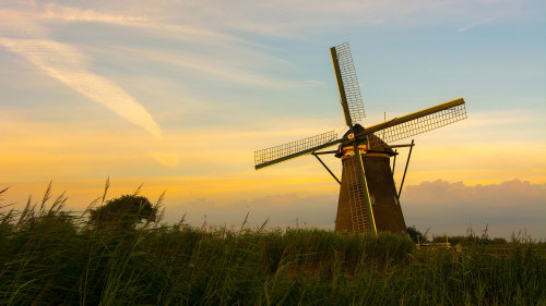 Dutch Windmills & Edam Tour with Lunch & Cheese Tasting