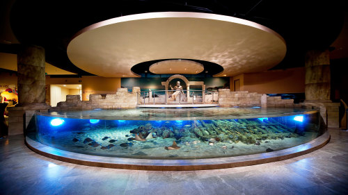 Istanbul Aquarium Theme Park Admission
