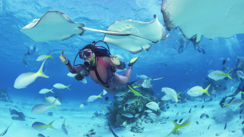 Aruba Scuba Diving