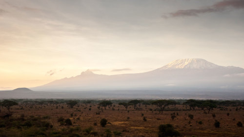 Mount Kilimanjaro Full-Day Hike with Lunch