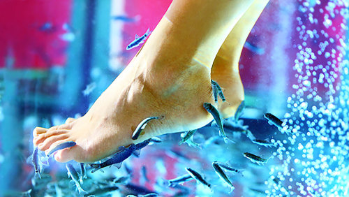 Ultimate Natural Pedicure with Exotic Fish by Athens Fish Spa