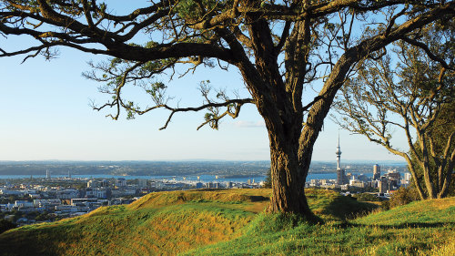 Mount Eden Walking Tour