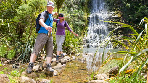 Waitakere Ranges & West Coast Small-Group Walking Tour