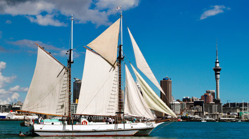 Voyager New Zealand Maritime Museum Entry & Sailing Cruise