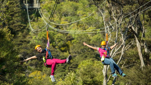 Flying Fox Ziplines at Waiheke Island