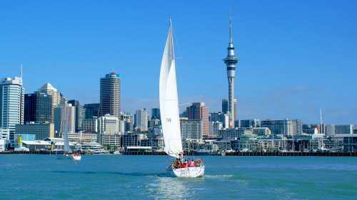 Harbor Sailing Cruise