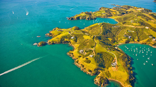 Sailing Cruise from Auckland to Waiheke