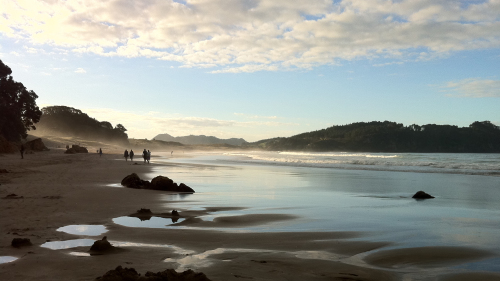 Whangapoua & New Chums Beach Explorer by Coromandel Adventures