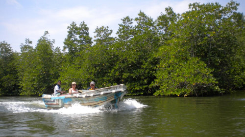 Private Balapitiya River Safari Half-Day Tour