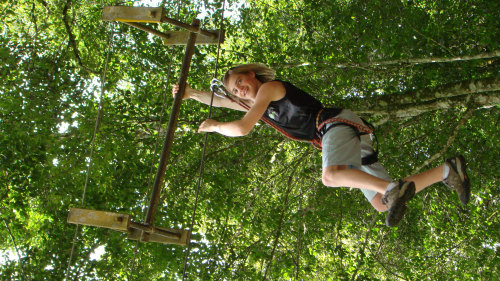 Treetop Adventure Park with Temple & Market Full-Day Tour