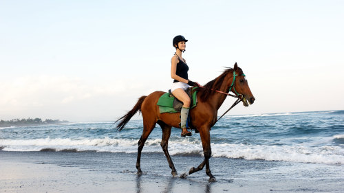 Horseback Riding on Saba Beach