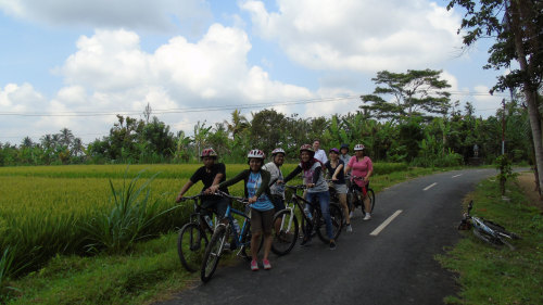 Private Bike Tour of Bongkasa Village