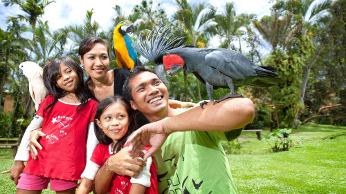 Bali Bird Park Admission