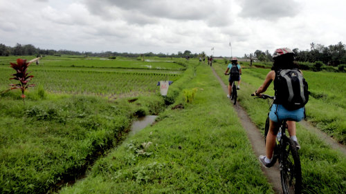 Private Full-Day Bike Tour of West Coast