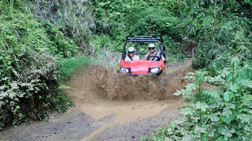 Quad or Buggy Driving Adventure