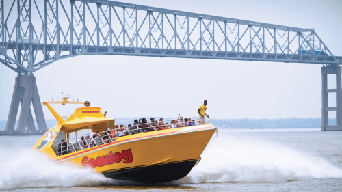 Extreme Speedboat Thrill Ride