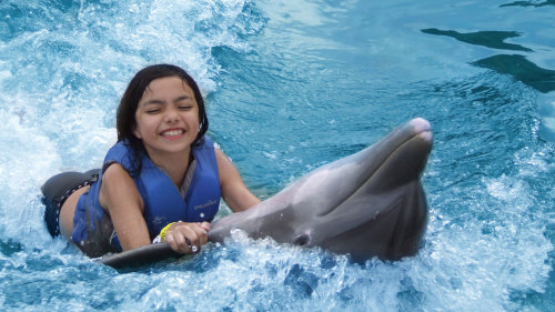 Dolphin Interaction Program