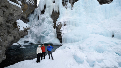 Discover Banff: Johnston Canyon Icewalk Tour