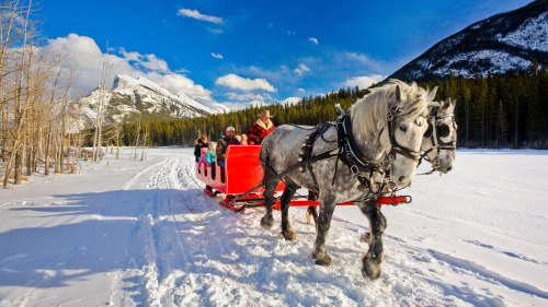 Banff Sleigh Ride