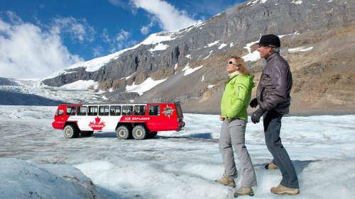 Columbia Icefield Discovery Sightseeing Tour