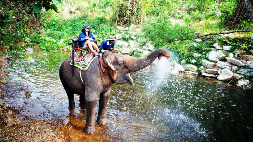 Khao Yai National Park Full Day Tour by Tour East Thailand